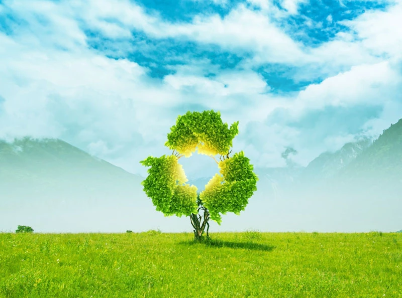 Tầm quan trọng của các sản phẩm nước giặt và chất tẩy rửa có nguồn gốc thiên nhiên